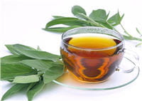la tisane à la sauge bue régulièrement a des effets impressionnants sur la