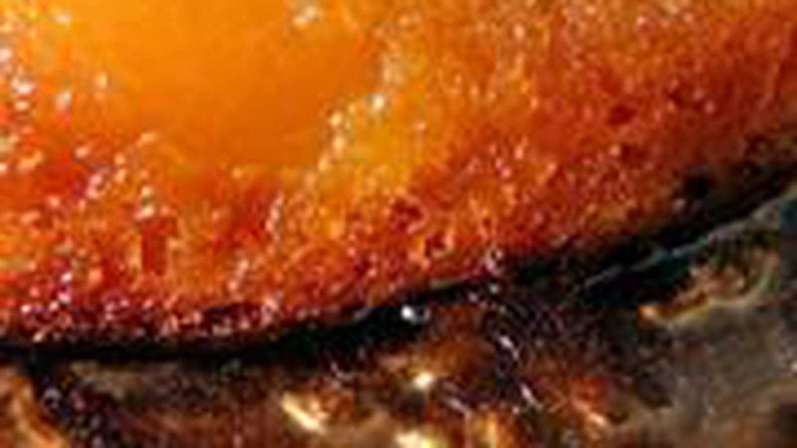 Tarte renversée à l'abricot