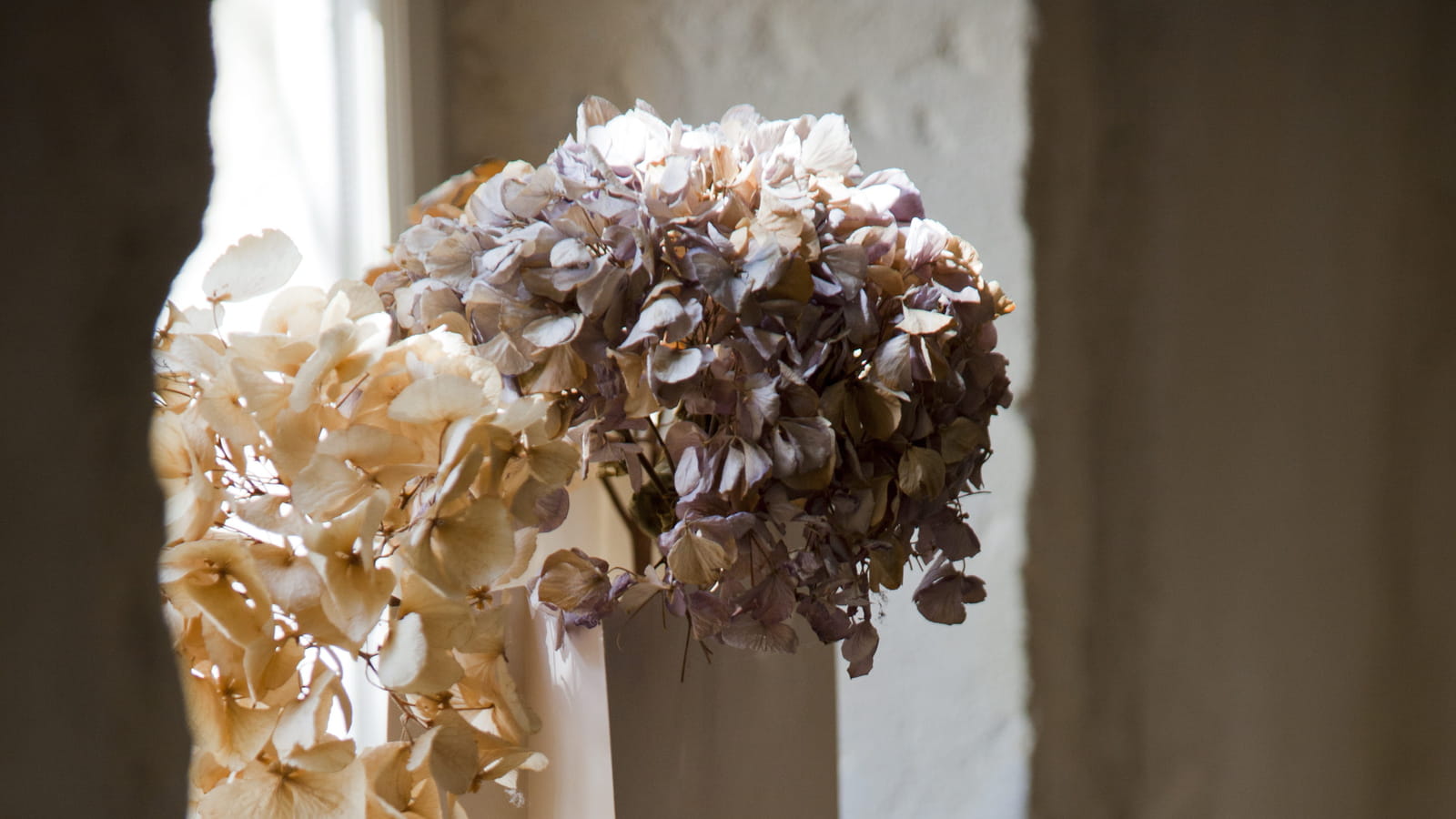 Duo d'hortensias séchés 