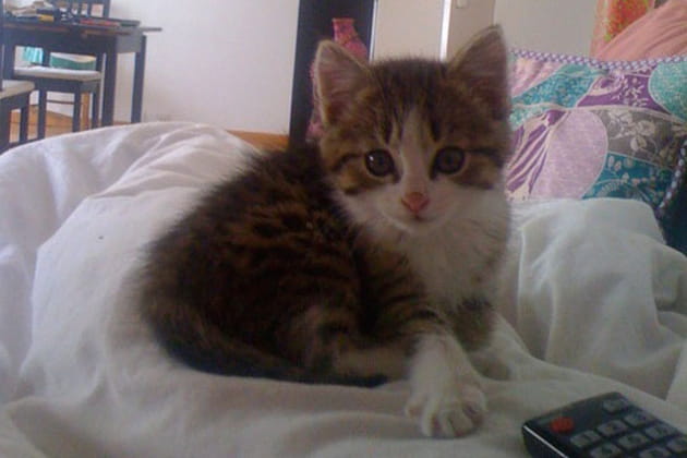 Félicie prend la pose