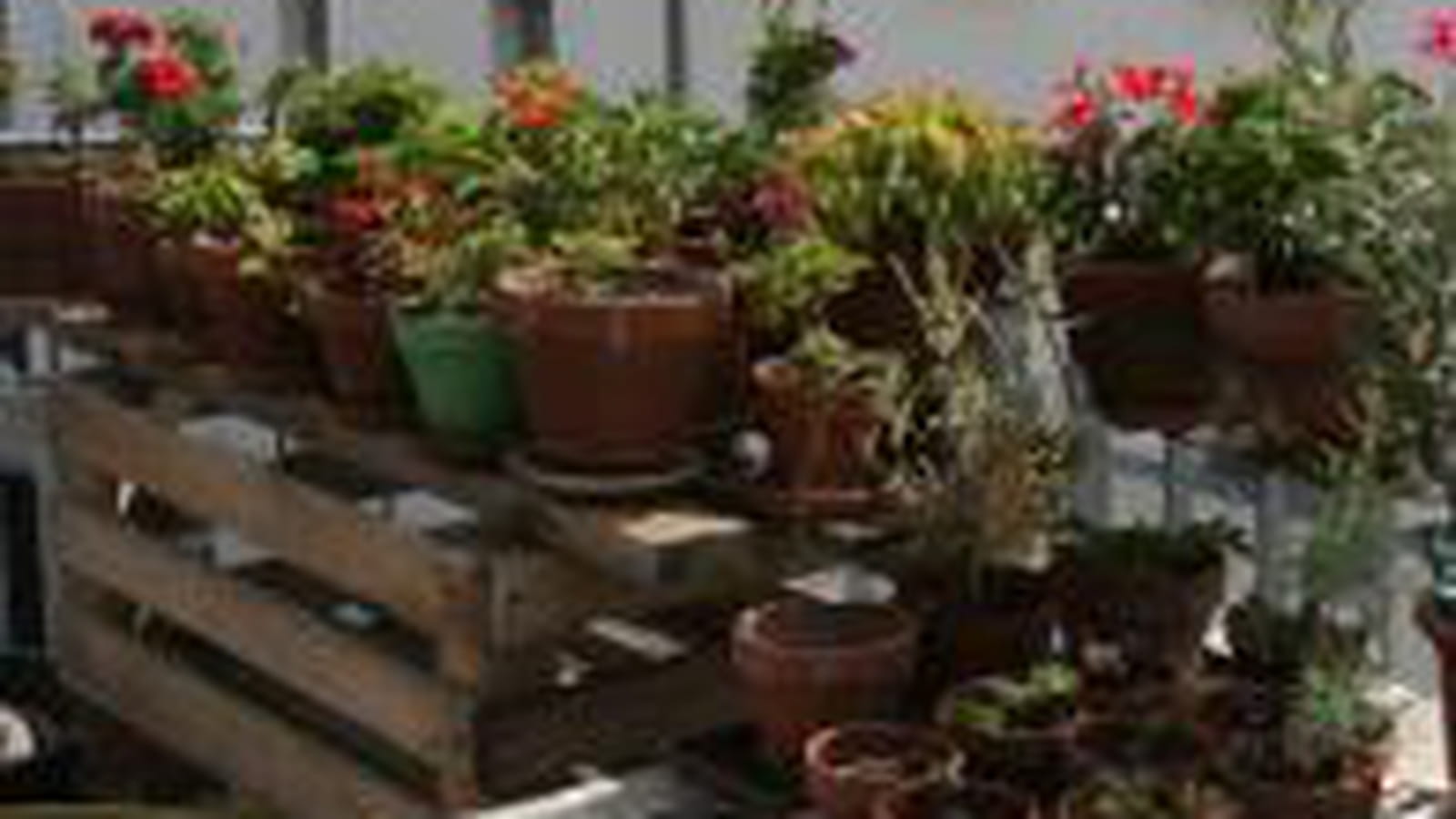 pots