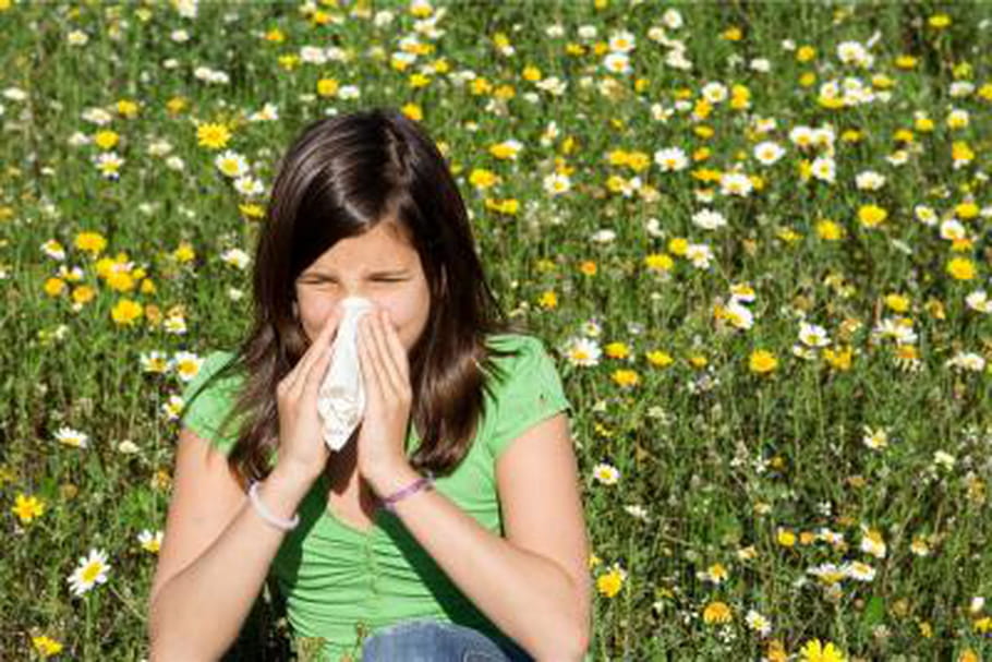 Allergies respiratoires : cet été, informez-vous à bord d'iDTGV !