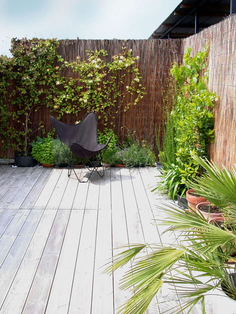 Après : osier et grimpants