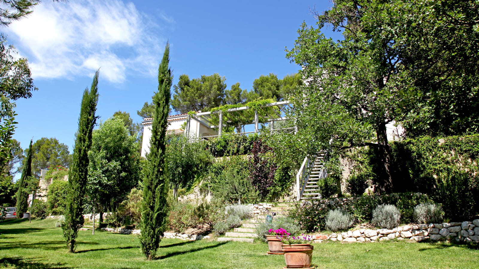 Cyprès géométriques