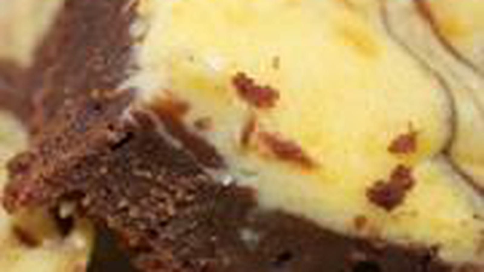 Brownies marbrés aux chocolats
