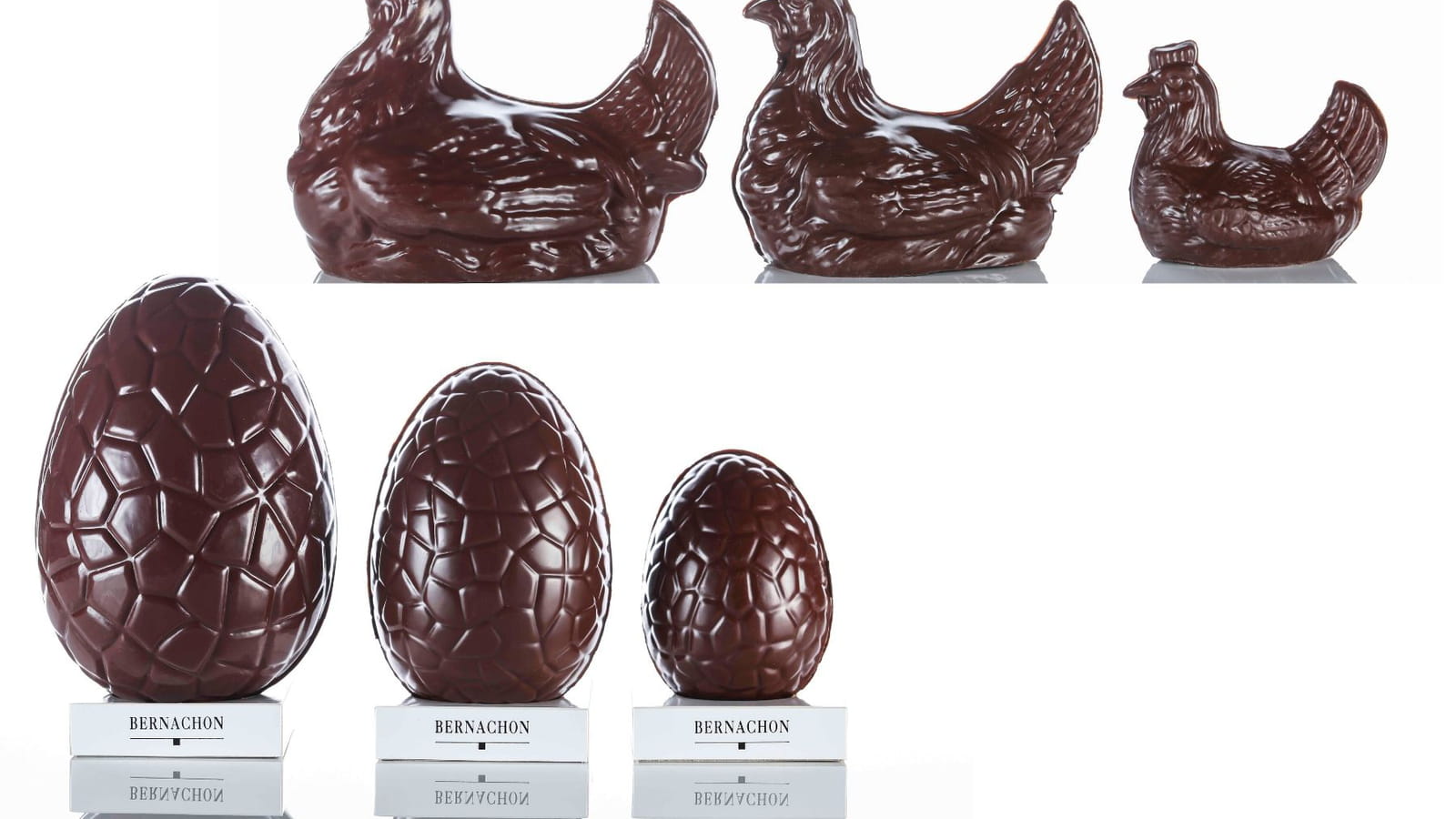 Les œufs et les poules de Bernachon 