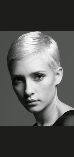 Irr&eacute;sitible platine