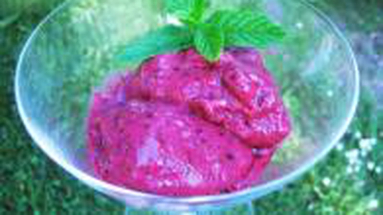 Sorbet express