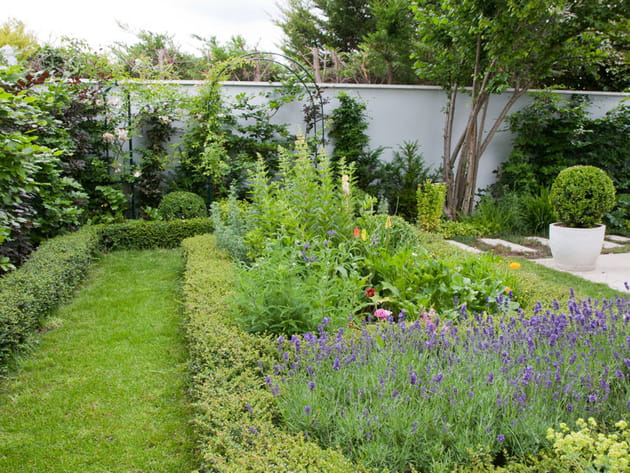 Une all&eacute;e de jardin structur&eacute;e en gazon