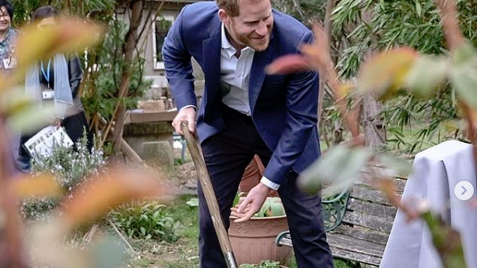 Prince Harry 