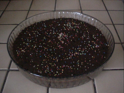 Gâteau choco-coco (Recettes chocolat)