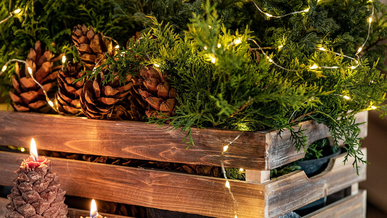 Caisses en bois 