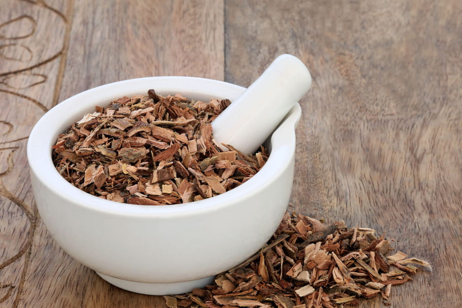 Saule blanc : vertus (migraine) et contre-indications 