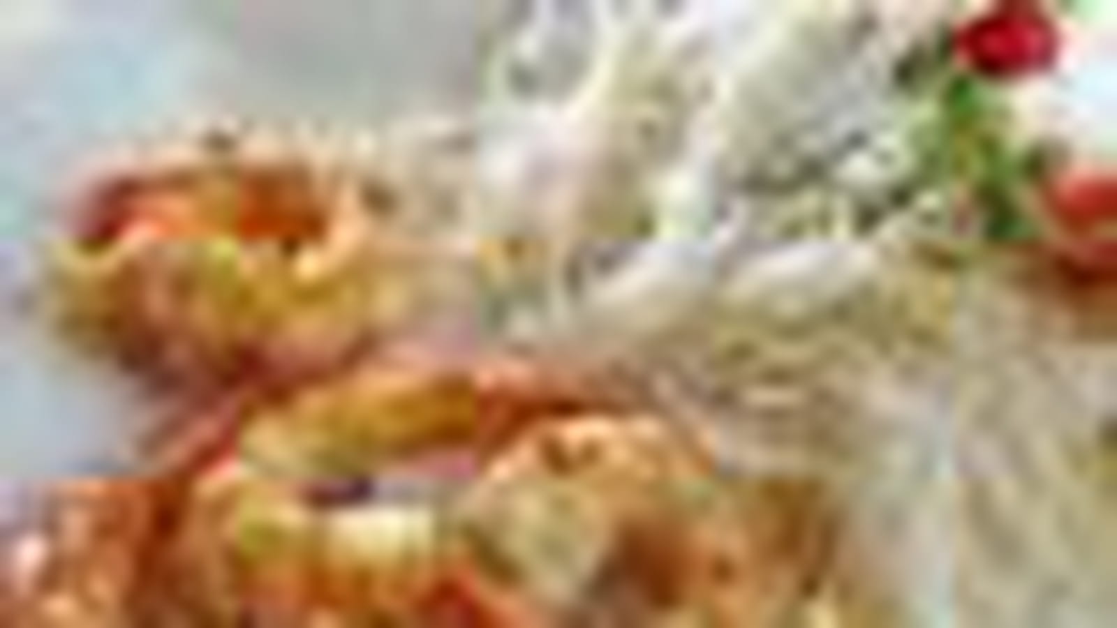 Gambas-vermicelles
