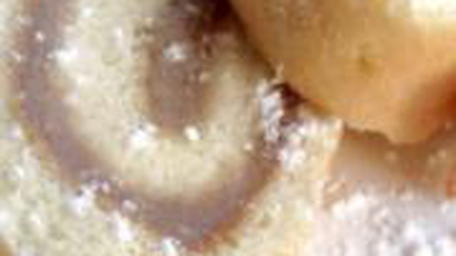 Gâteau roulé à la crème de marrons