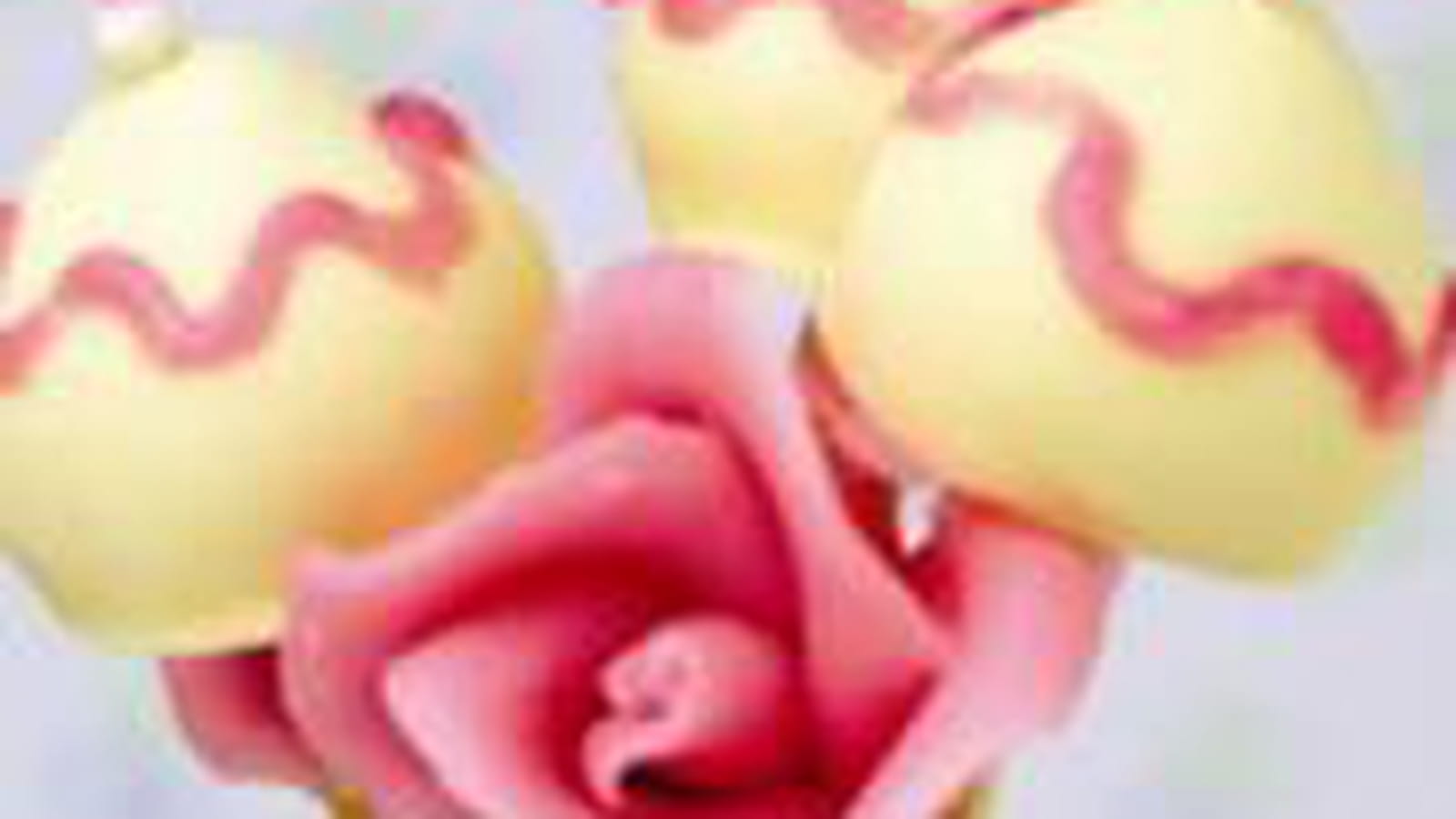 Symphonie de roses