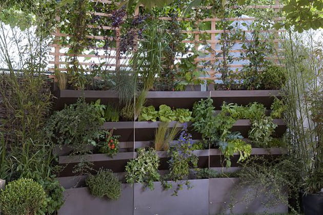 Les étagères potagères