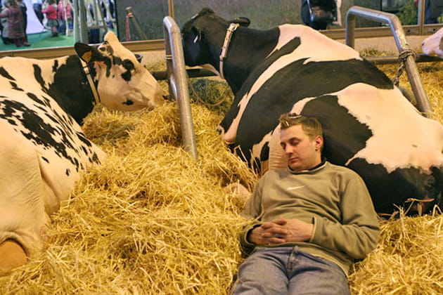 Dr&ocirc;le de situation