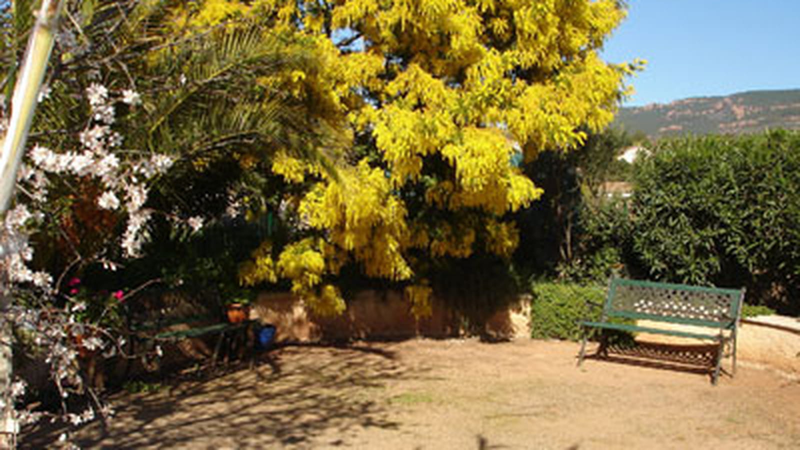Dans le Var