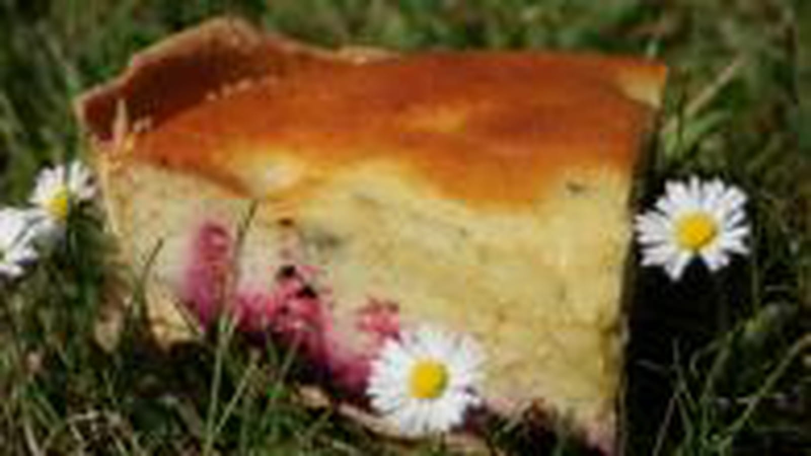 Tarte façon muffins