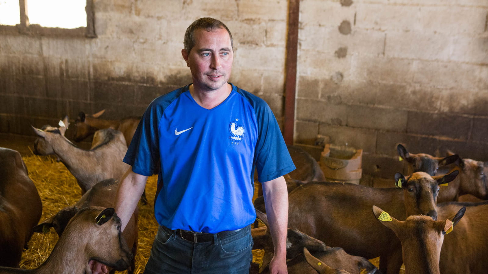 L'AOP caprine ayant le plus de producteurs fermiers