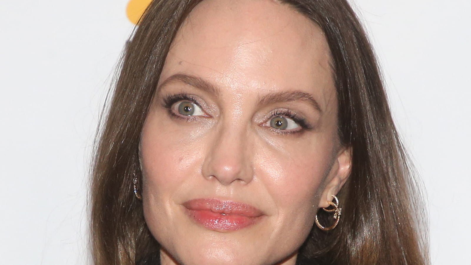 Angelina Jolie en brune