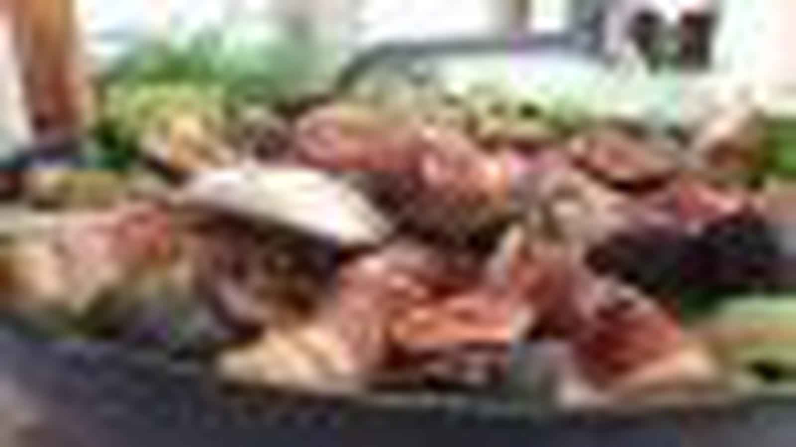 Salade aux figues