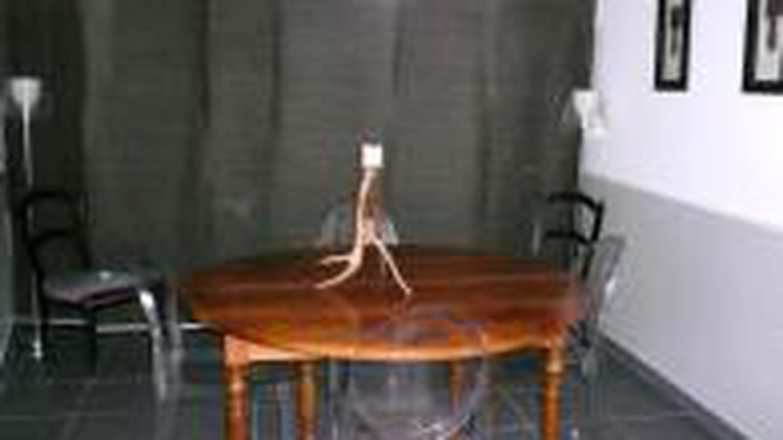 Chaise transparente