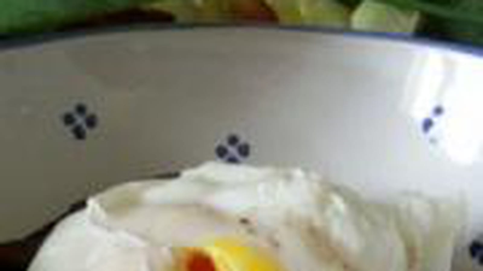 Oeuf en meurette