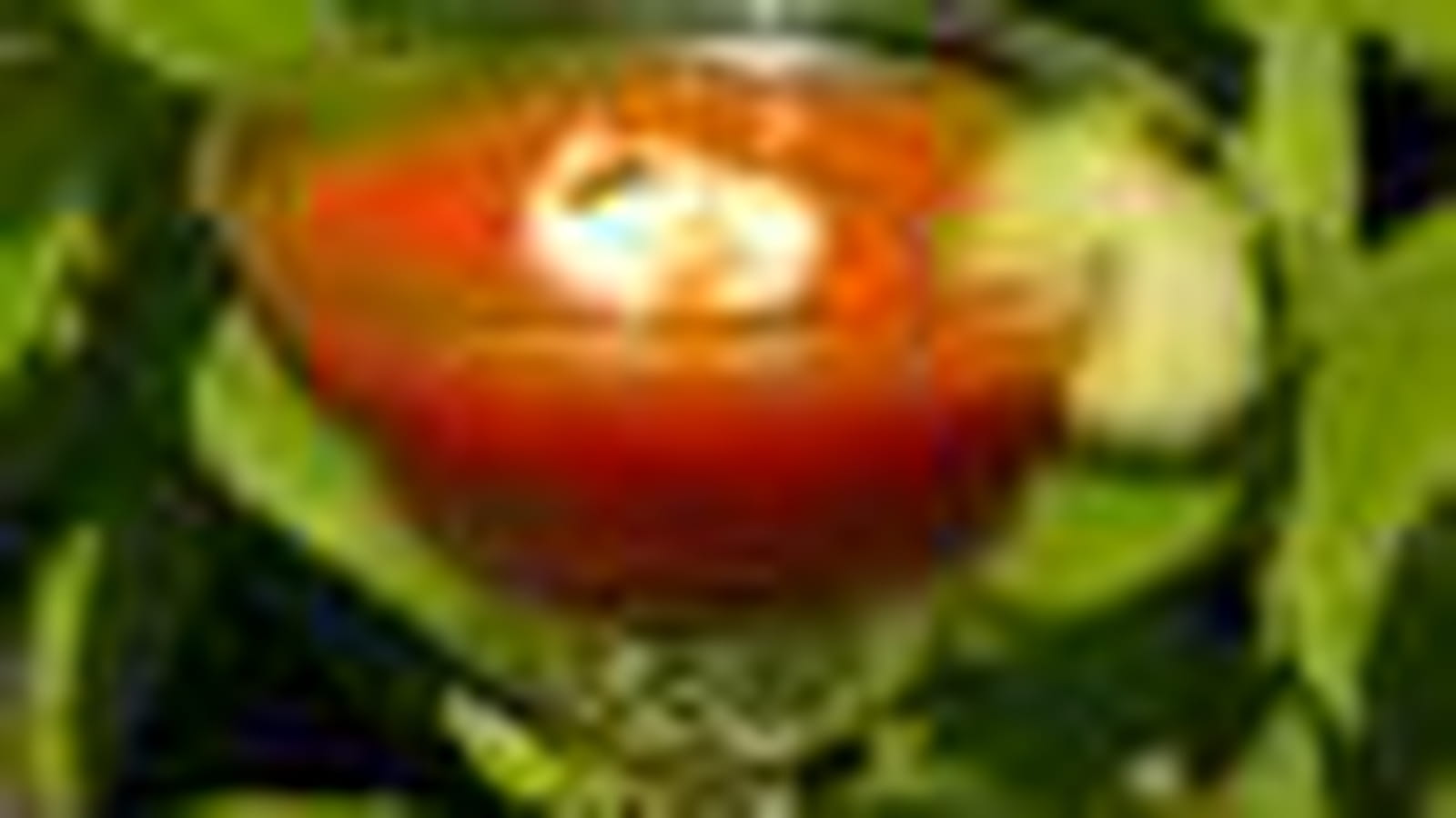 Gaspacho tomate-St Môret