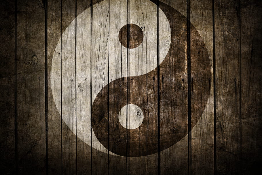 Le Pouvoir Du Yin Et Du Yang Le Yin et le Yang : que signifient-ils dans l'astrologie chinoise