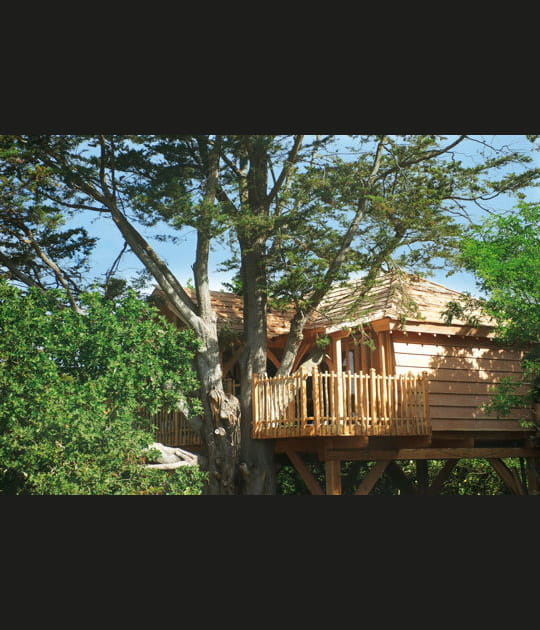 Une cabane au coeur de la nature