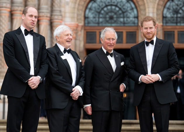 Prince William, David Attenborough, Prince Charles et Prince Harry