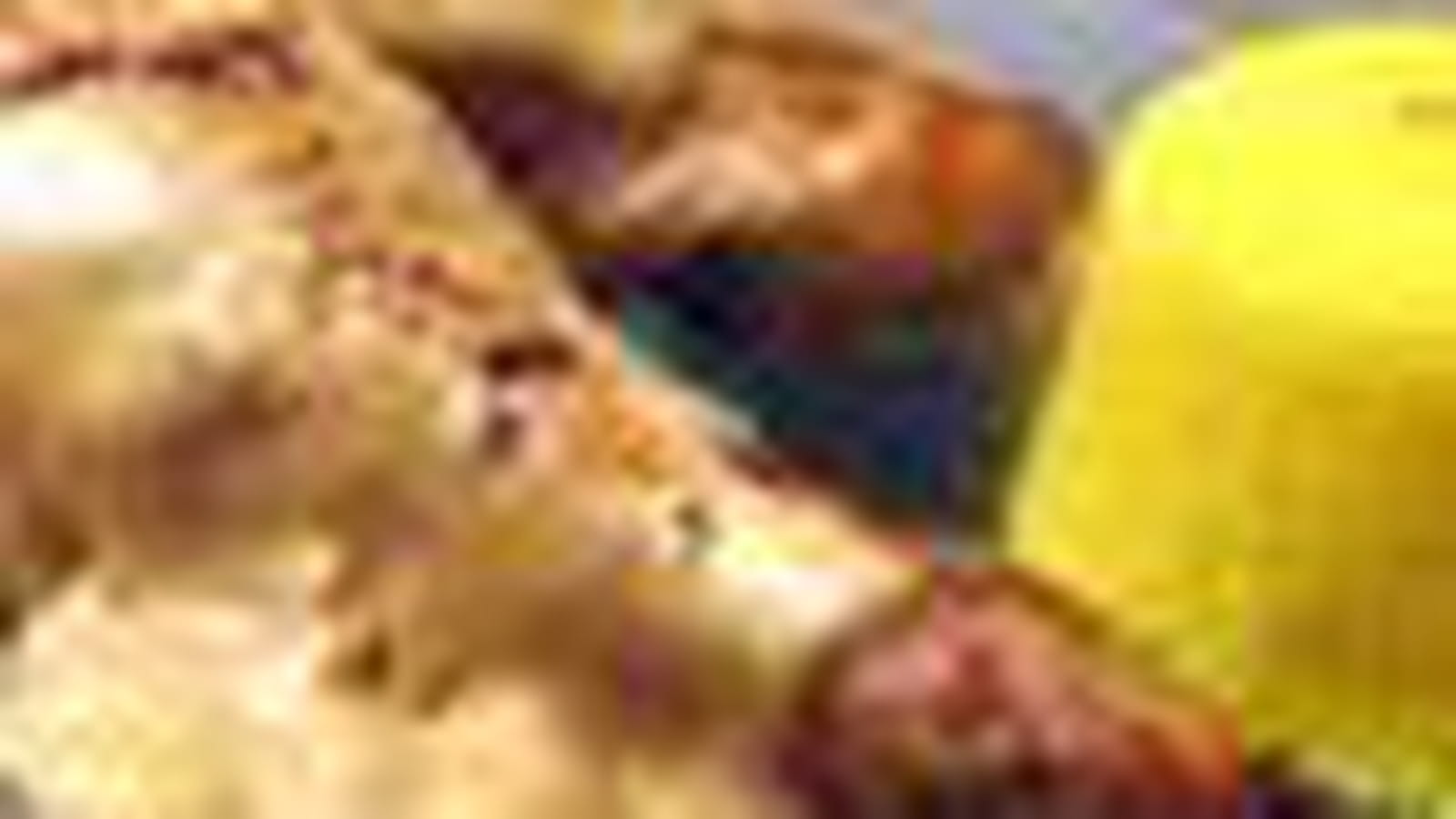 Poulet