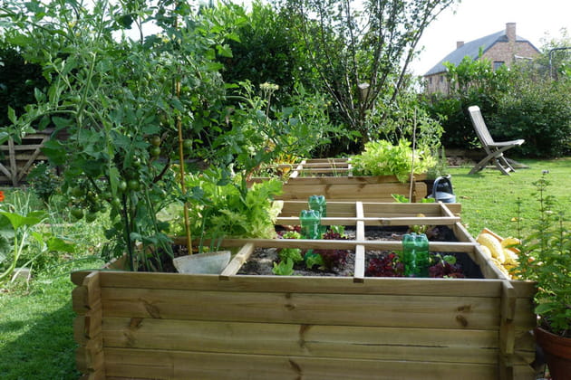Coin potager au carré
