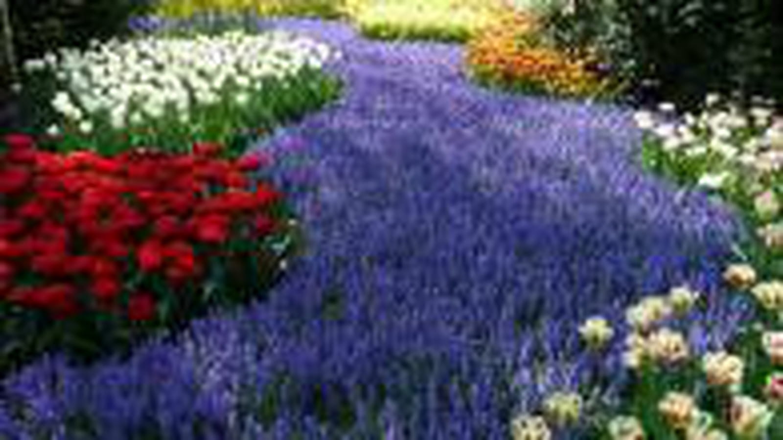 Sept jardin d'inspiration