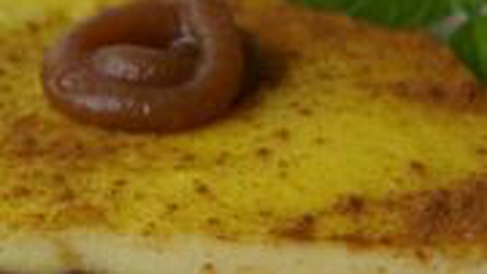 Tarte à la ricotta et à la crème de marron