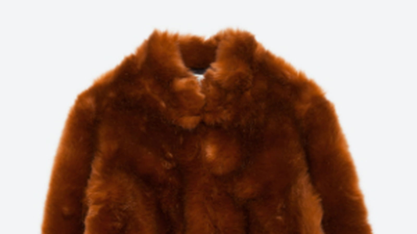 Manteau Zara