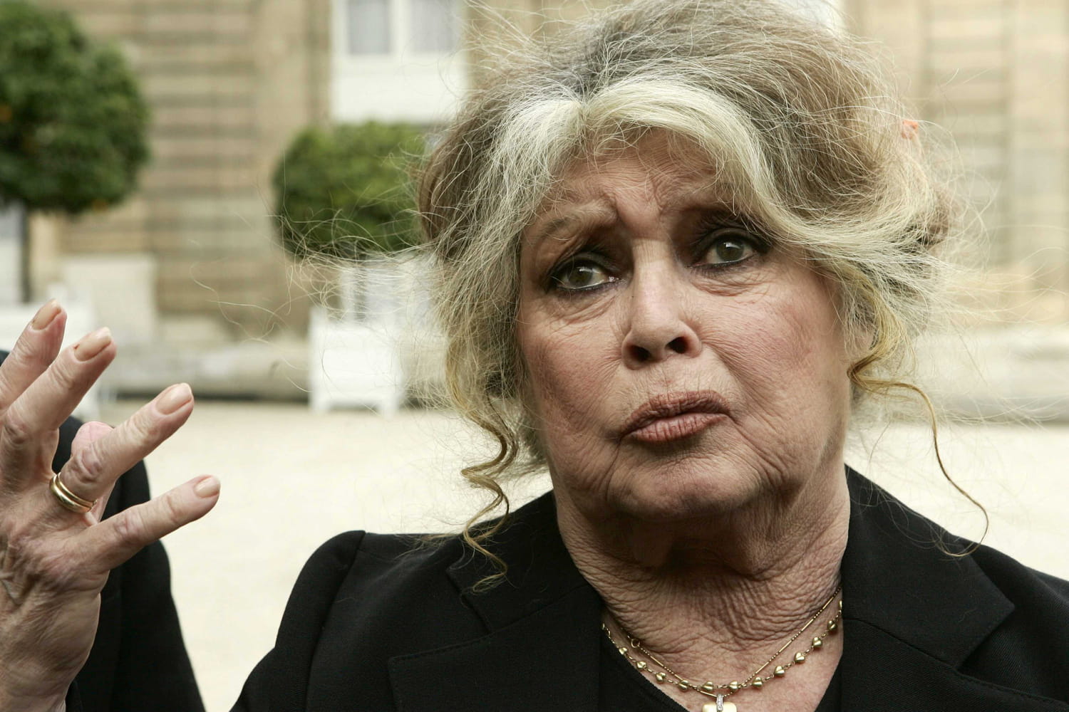 Brigitte Bardot hospitalisée : Difficultés respiratoires, perte de  facultés, cancer... ce qu'elle disait de sa santé