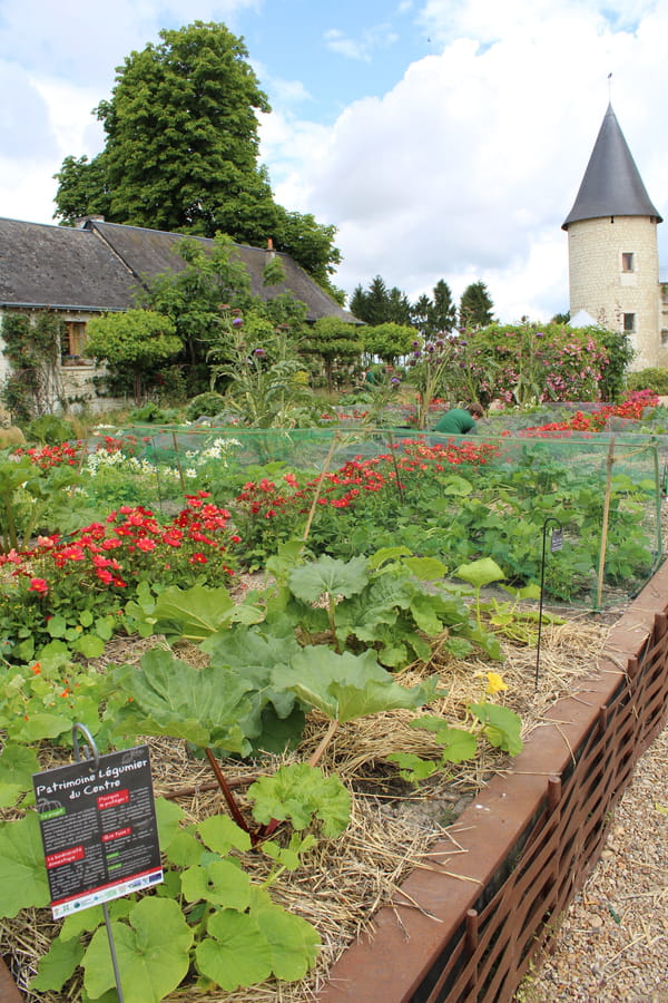 jardin-potager-concours-national