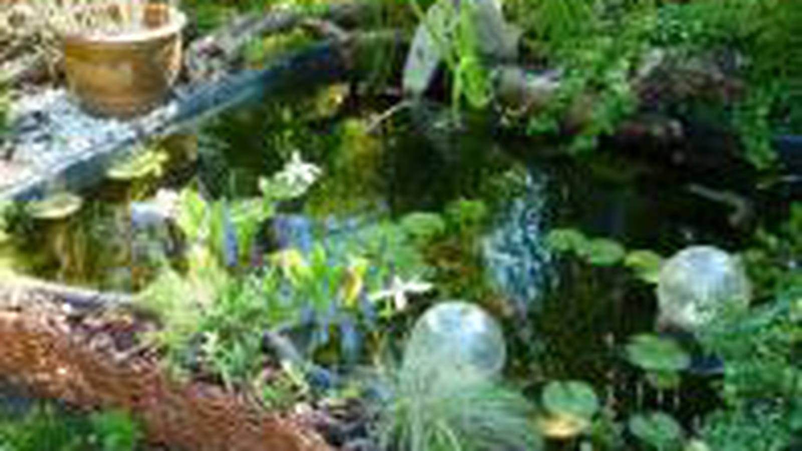Mare aux grenouilles