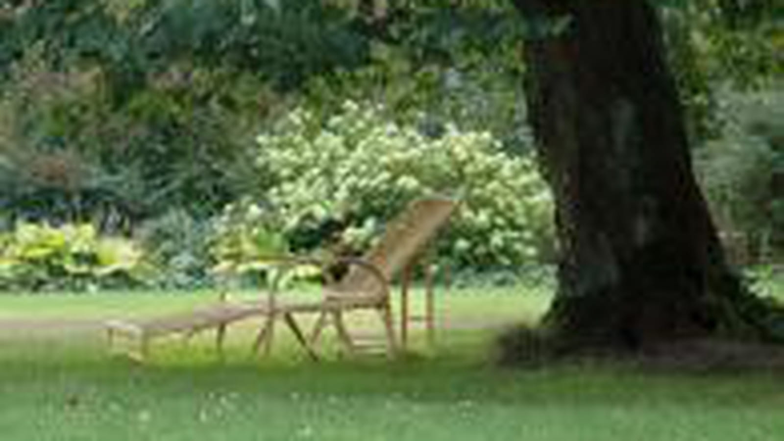 Chaise longue de Riva