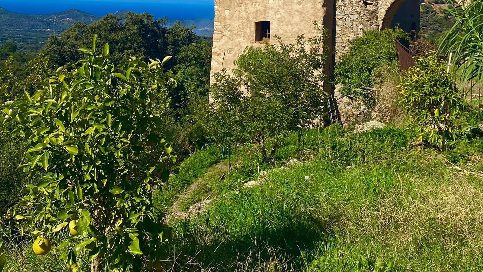 Le moulin génois de Christine Bravo