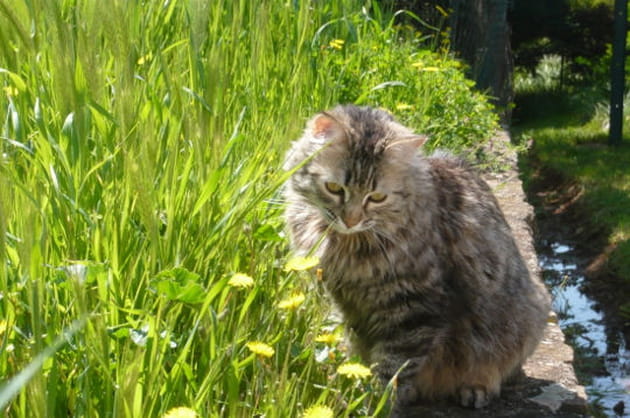 En pleine r&eacute;flexion