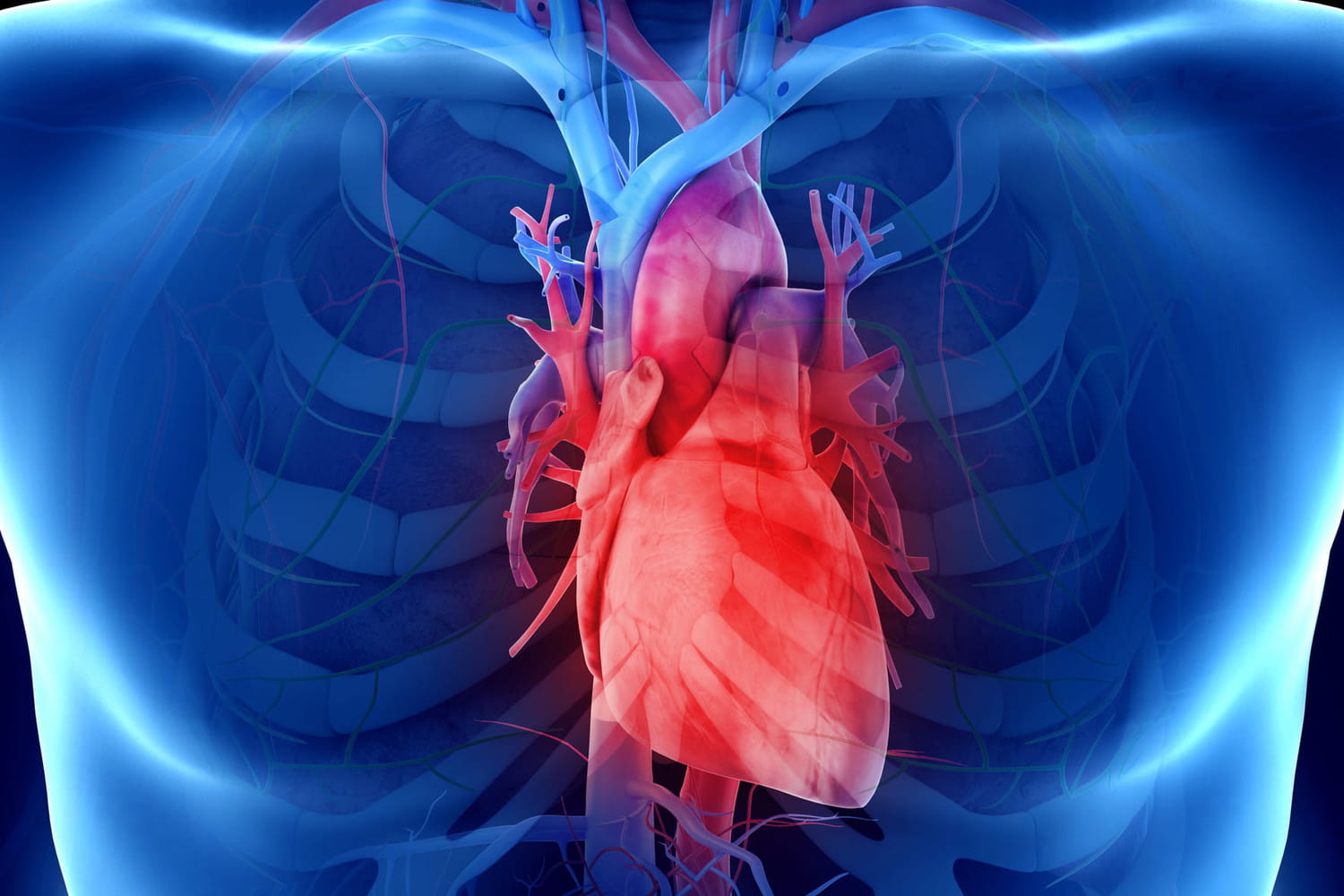 Myocarditis: What is symptoms, treatment?