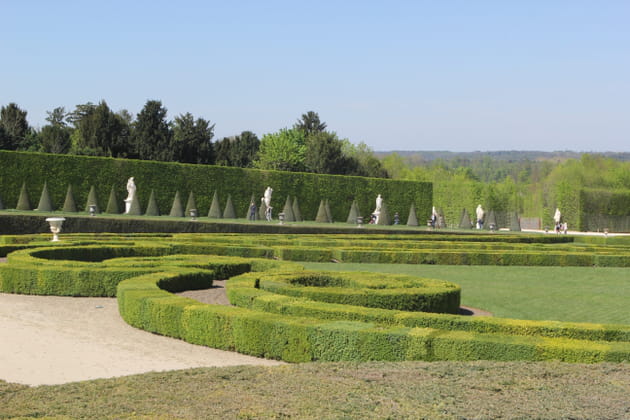 Le buis sous toutes ses formes