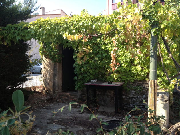 Avant : un cabanon sous la vigne vierge