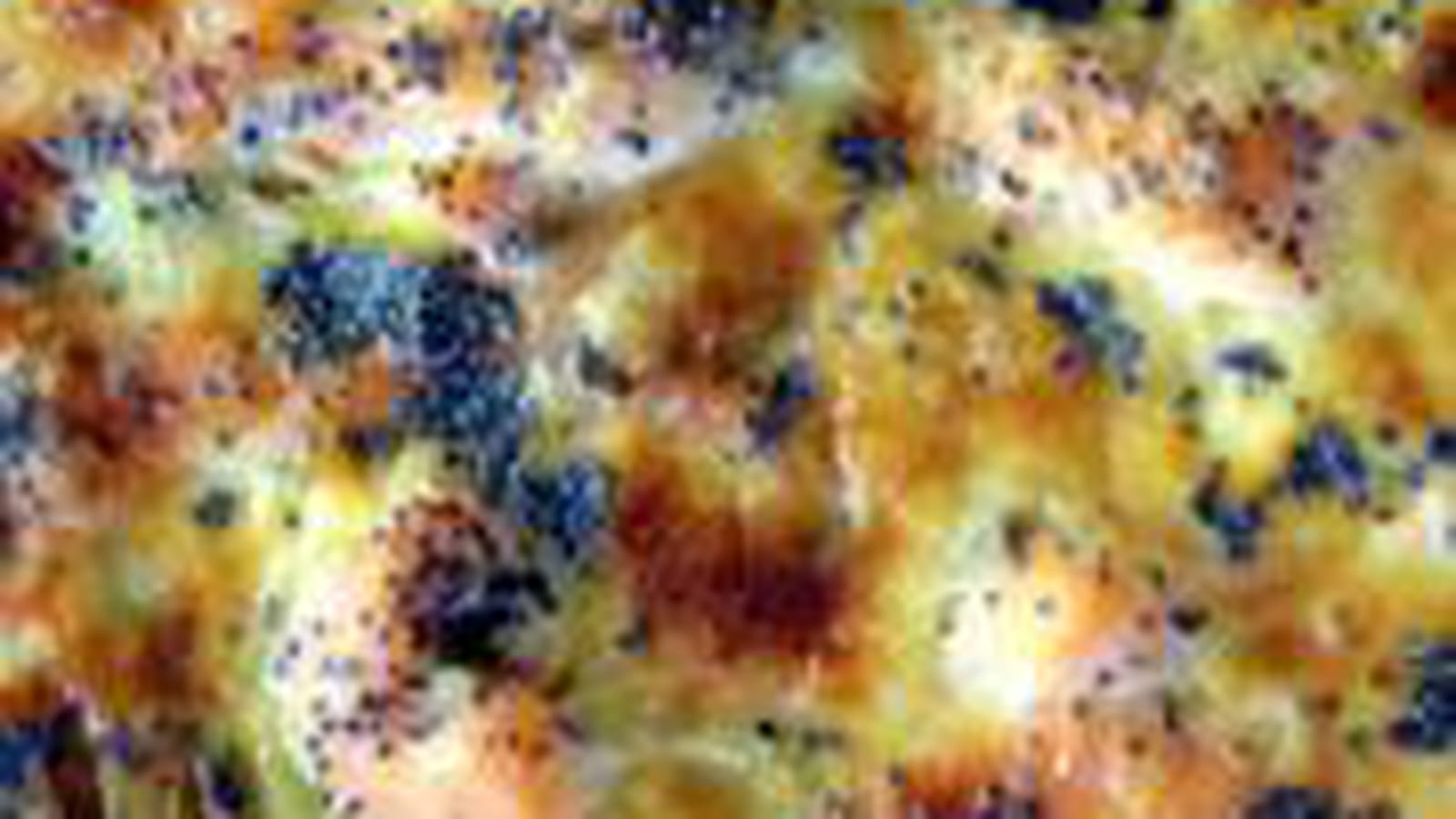 Tarte au saumon, aux poireaux et aux graines de pavot