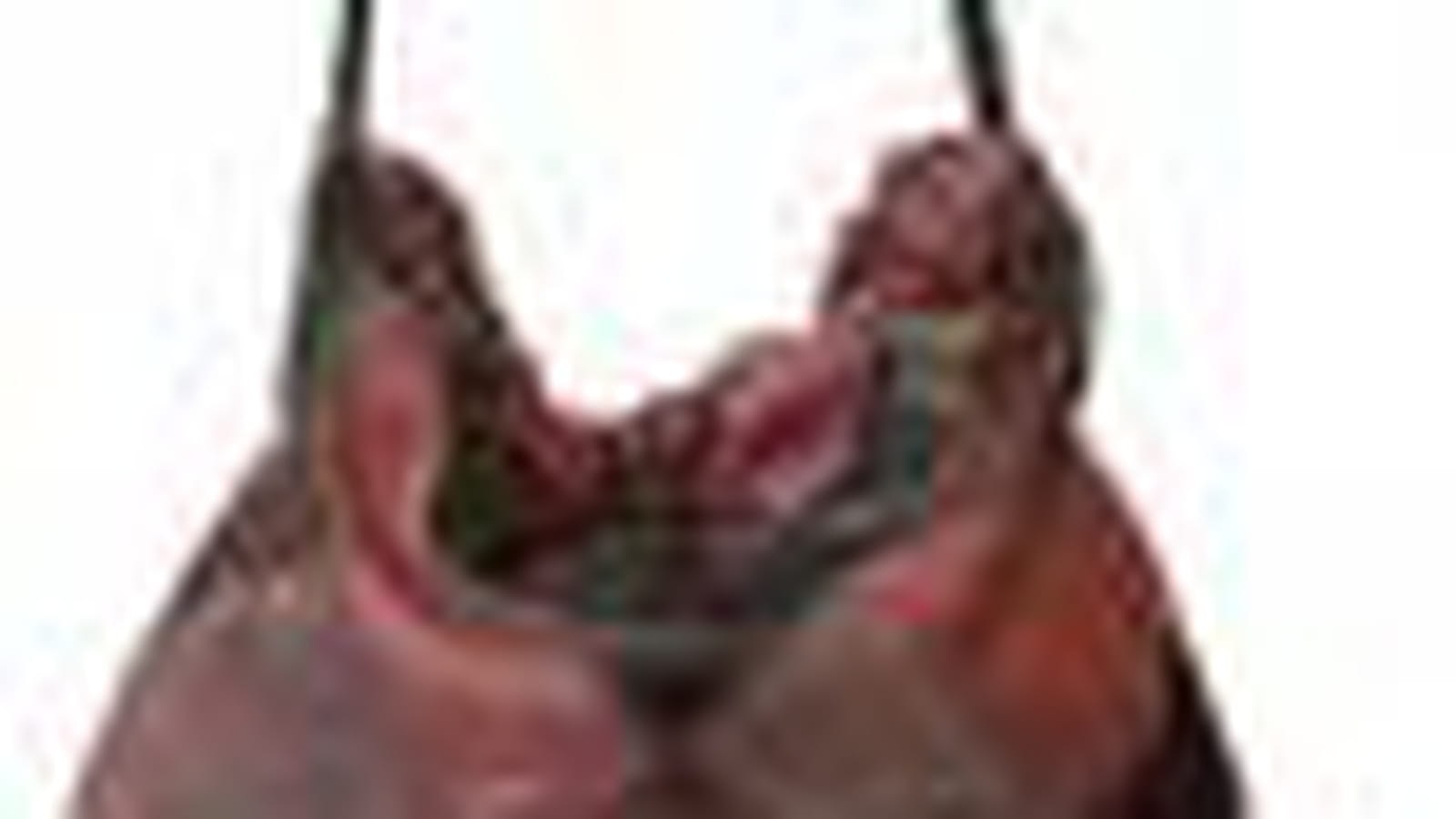 Sac d'Aridza Bross