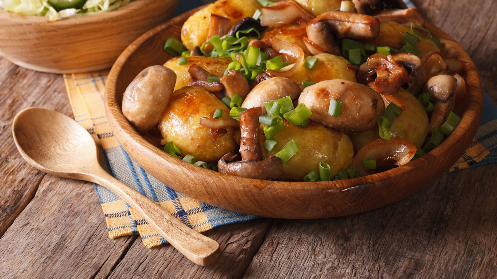 Les champignons